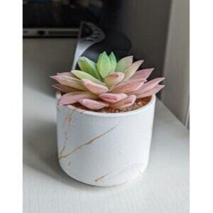 New Mini Succulents Plants Artificial, Fake Succulents in White Ceramic Pots